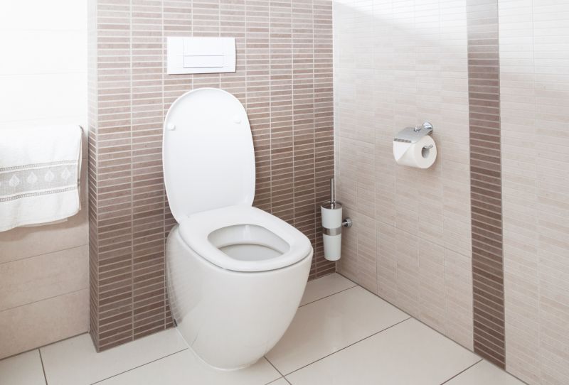New Toilet Installation in Denver, CO